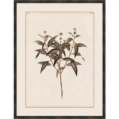  Sepia Leaves 2 