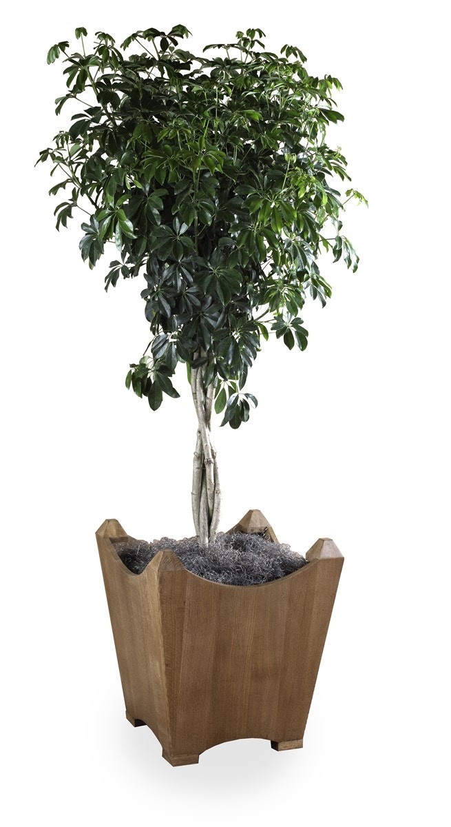Chaddock Furniture Woodside Planter DE2115
