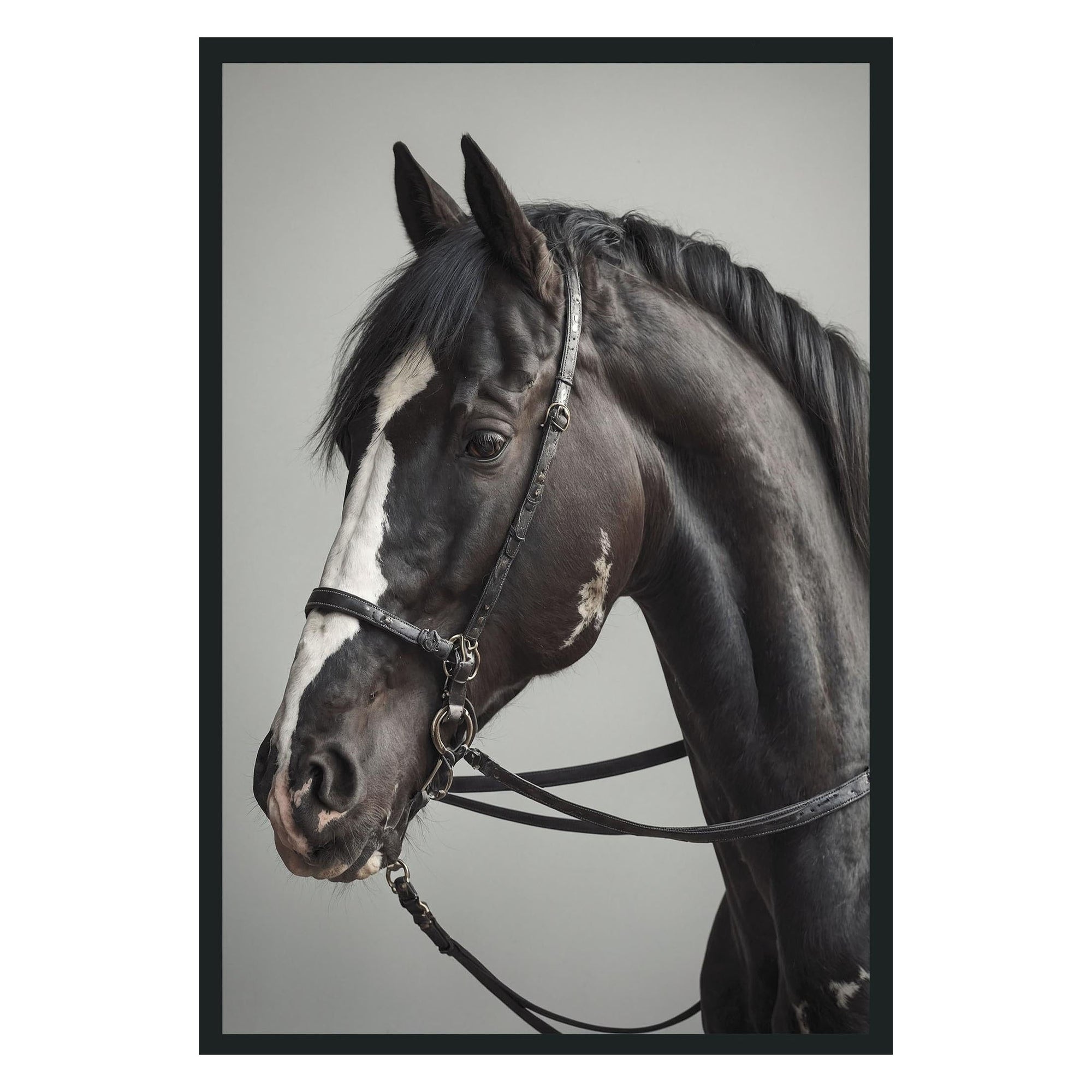 Classic Home Horse Photography 48x72 560077963636TBS