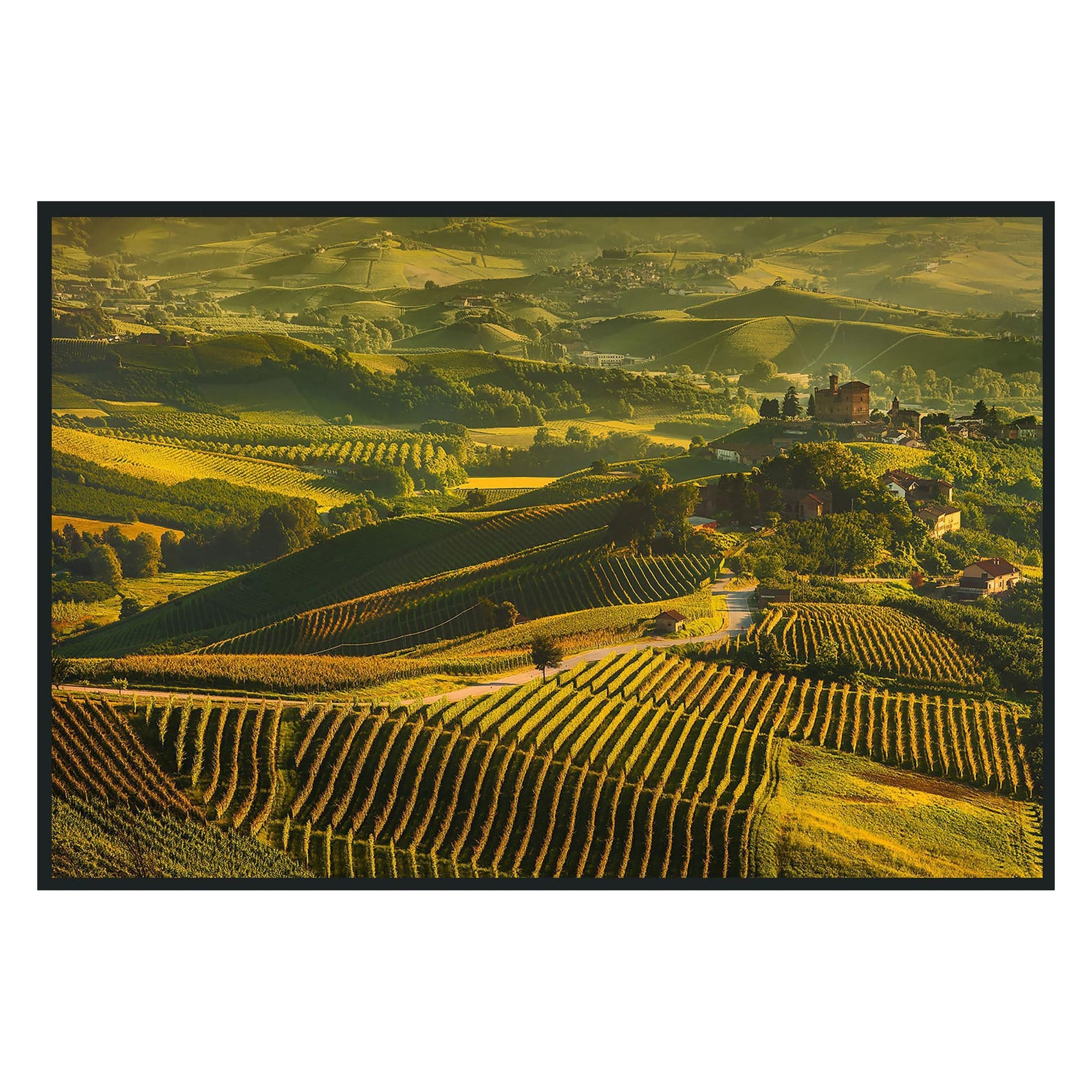 Classic Home Vinyard Photography 48x72 560078064872TBS