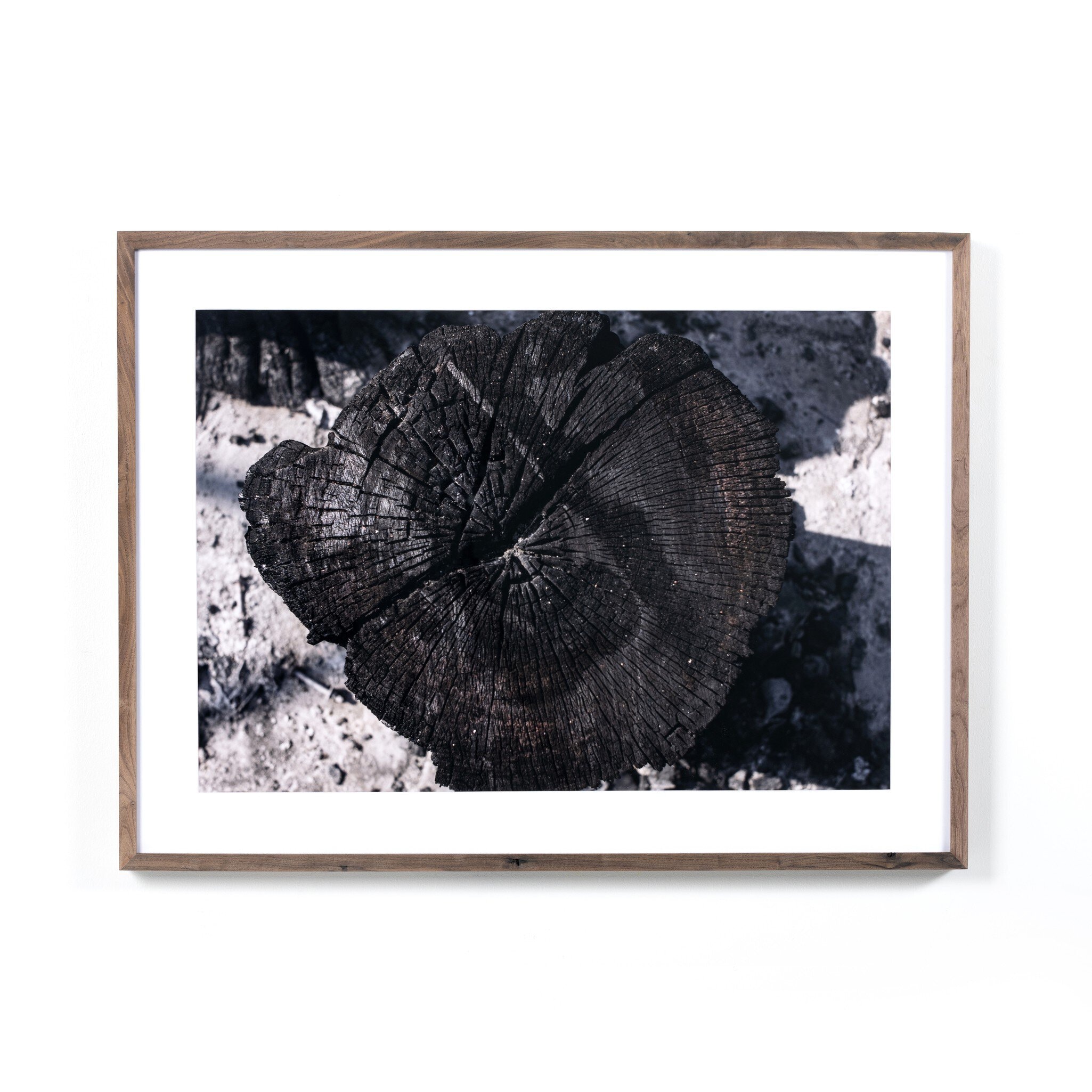 Four Hands Furniture Char Ii By Fh Art Studio 234464-001