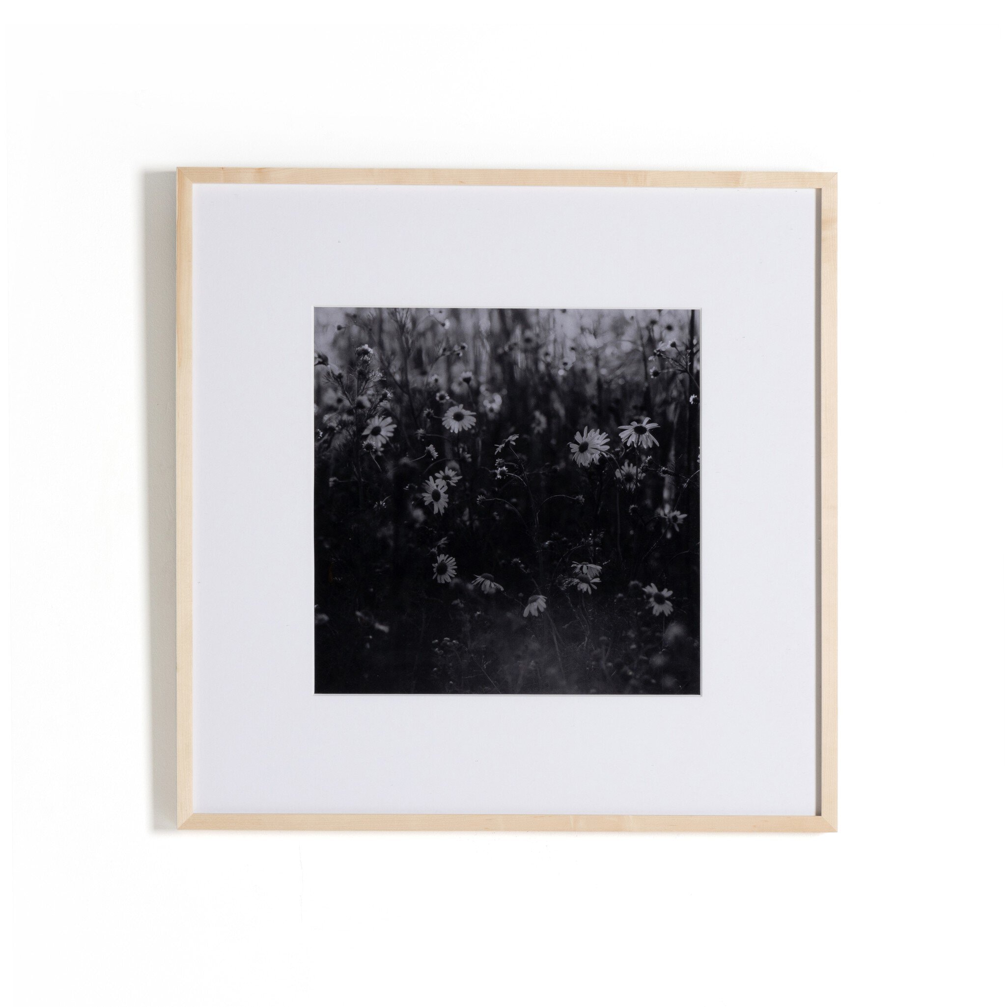 Four Hands Furniture Floral Film Ii By Annie Spratt-Natural 1 238411-001