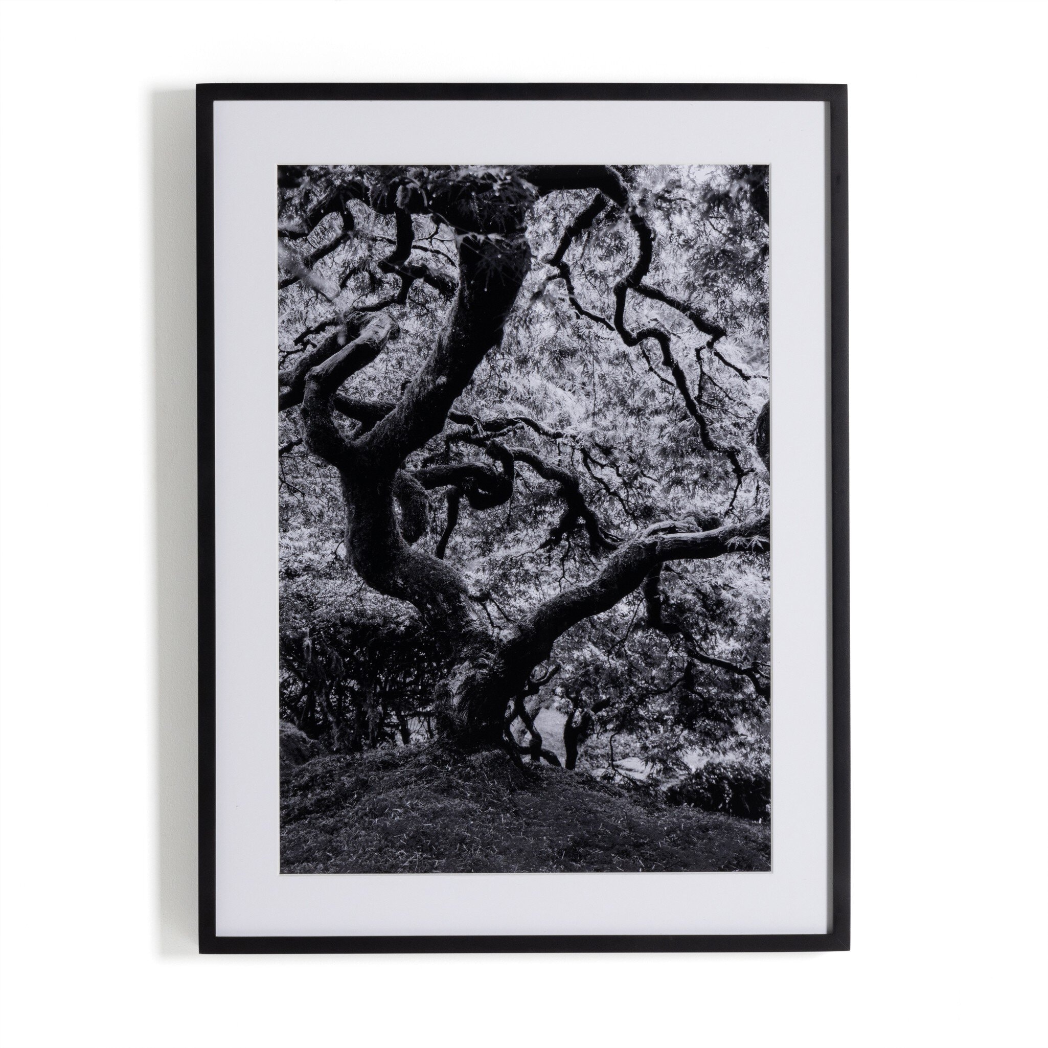 Four Hands Furniture Tree Gaze Iv By Coup Desprit Ltd-Black 238423-001