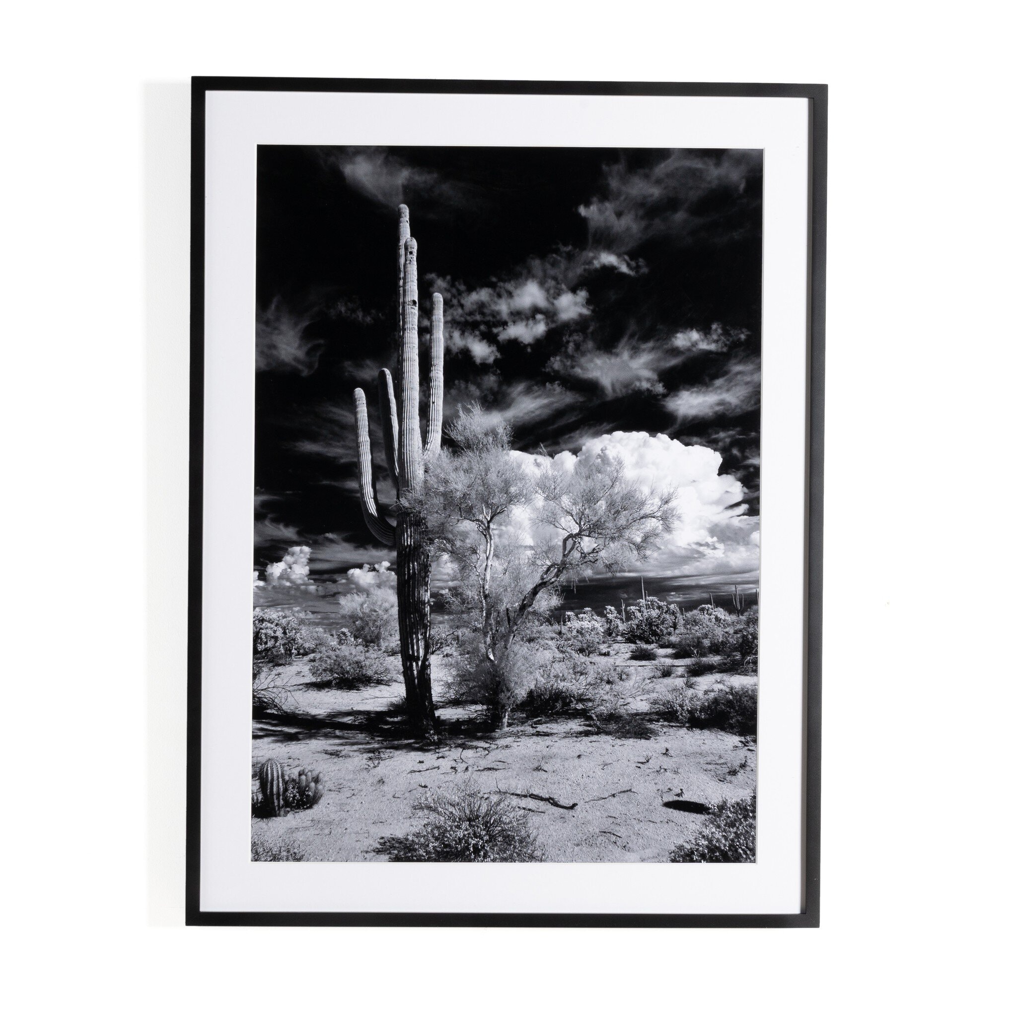 Four Hands Furniture Sonoran Desert By Getty-Black 2.5 Maple 238451-001