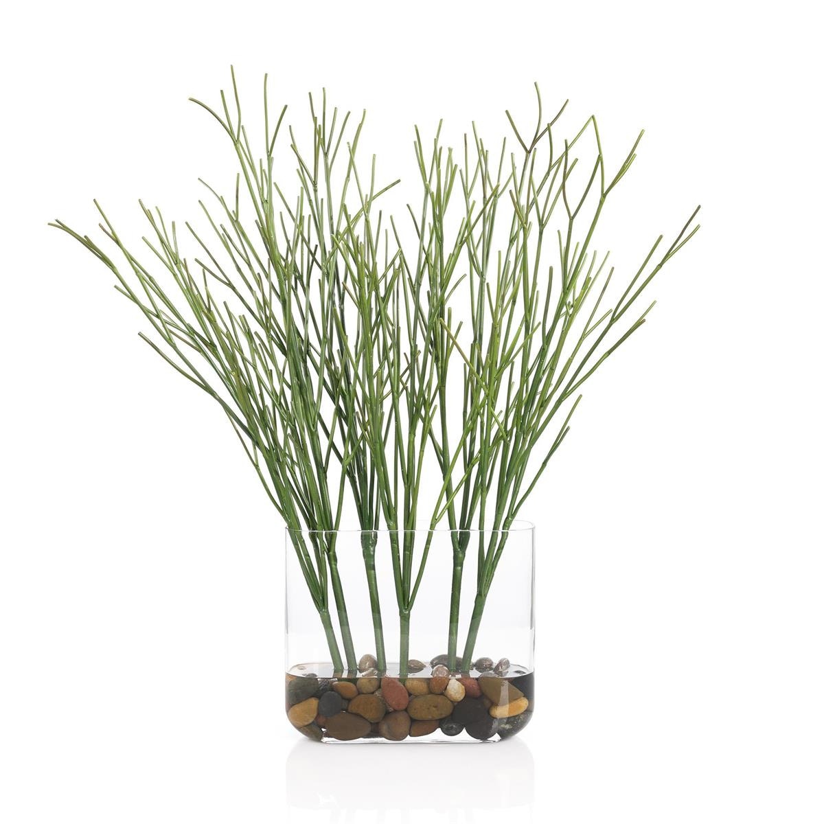 John Richard Cactus Succulent JRB-5587W
