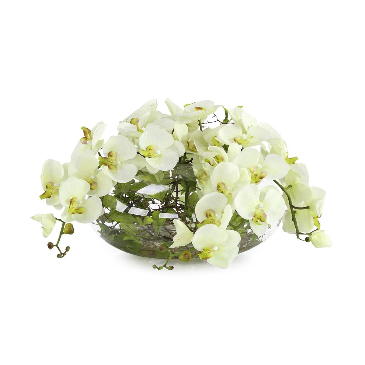 John Richard Enchanted Orchids JRB-5594W