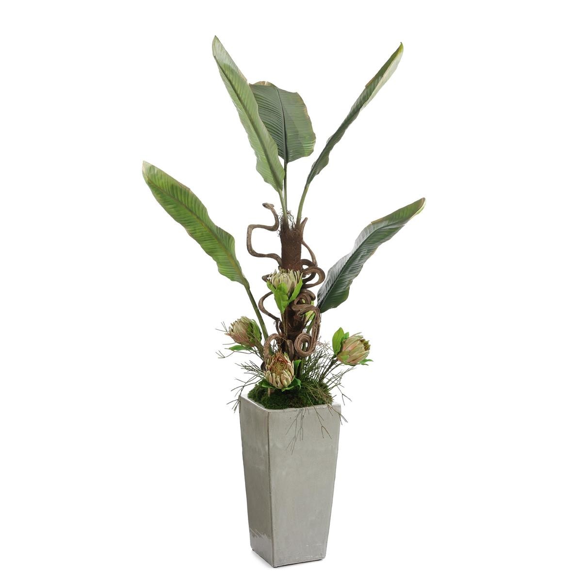 John Richard Tropical Vibes JRB-5656