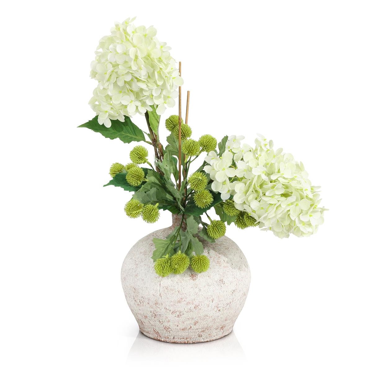 John Richard Woodland Hydrangeas JRB-5579