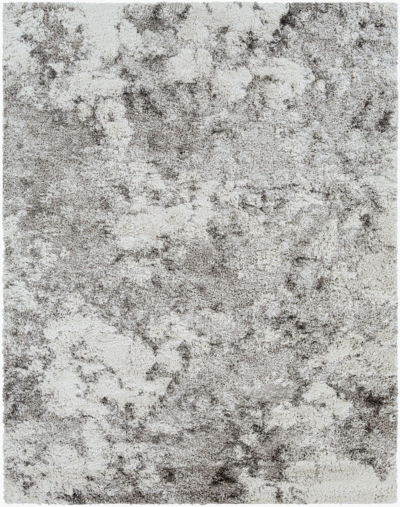 Surya Alta Shag Machine Woven Rug ASG-2304-P