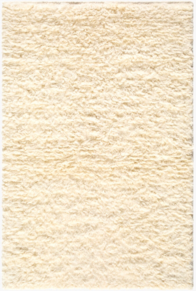 Surya Ayan Handmade Rug AYM-2301-P