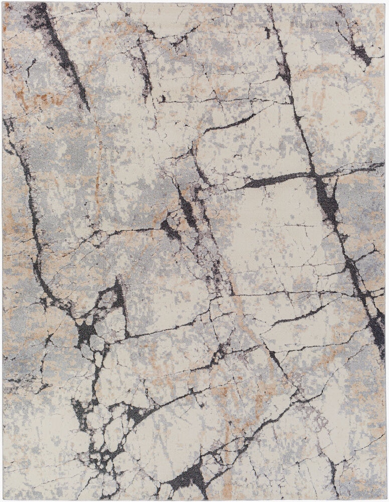 Surya Tuscany Machine Woven Rug TUS-2314-P