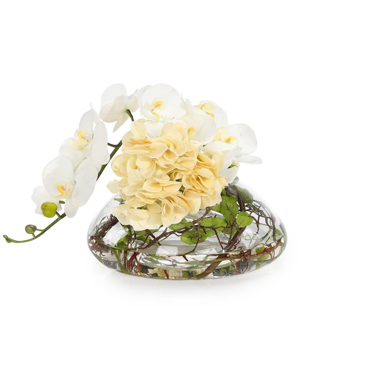 John Richard Golden Sun Hydrangeas JRB-5672W