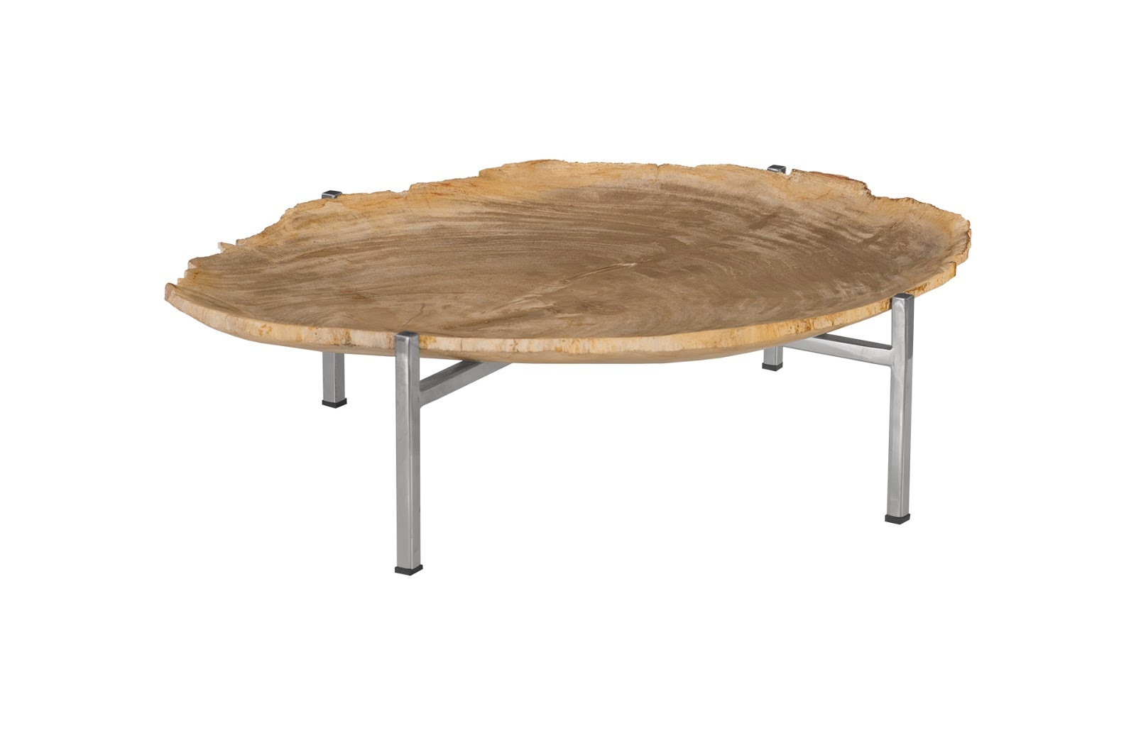 Phillips Collection Petrified Wood Tray ID88055