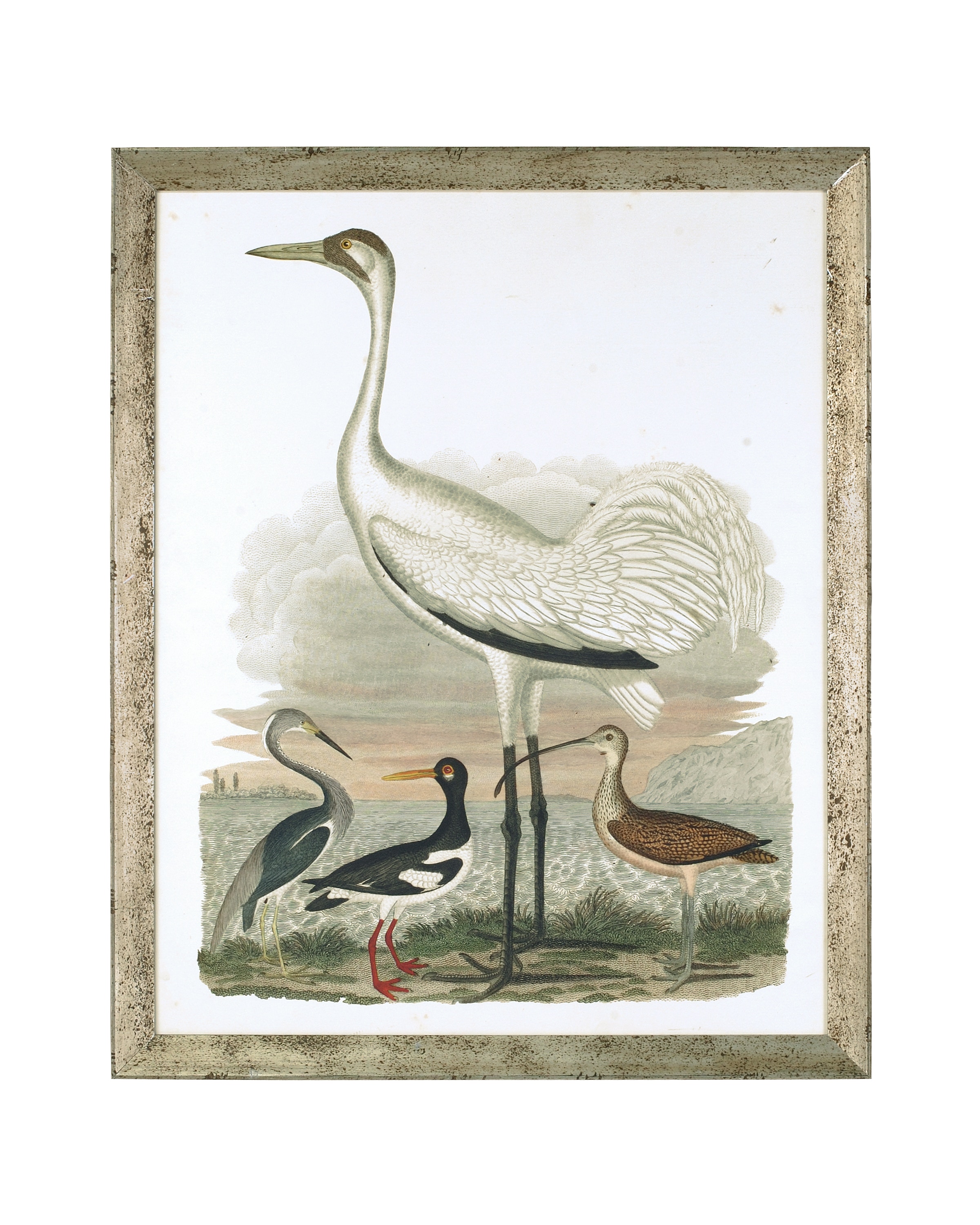 John Richard Large Heron Family II GRF-4401B