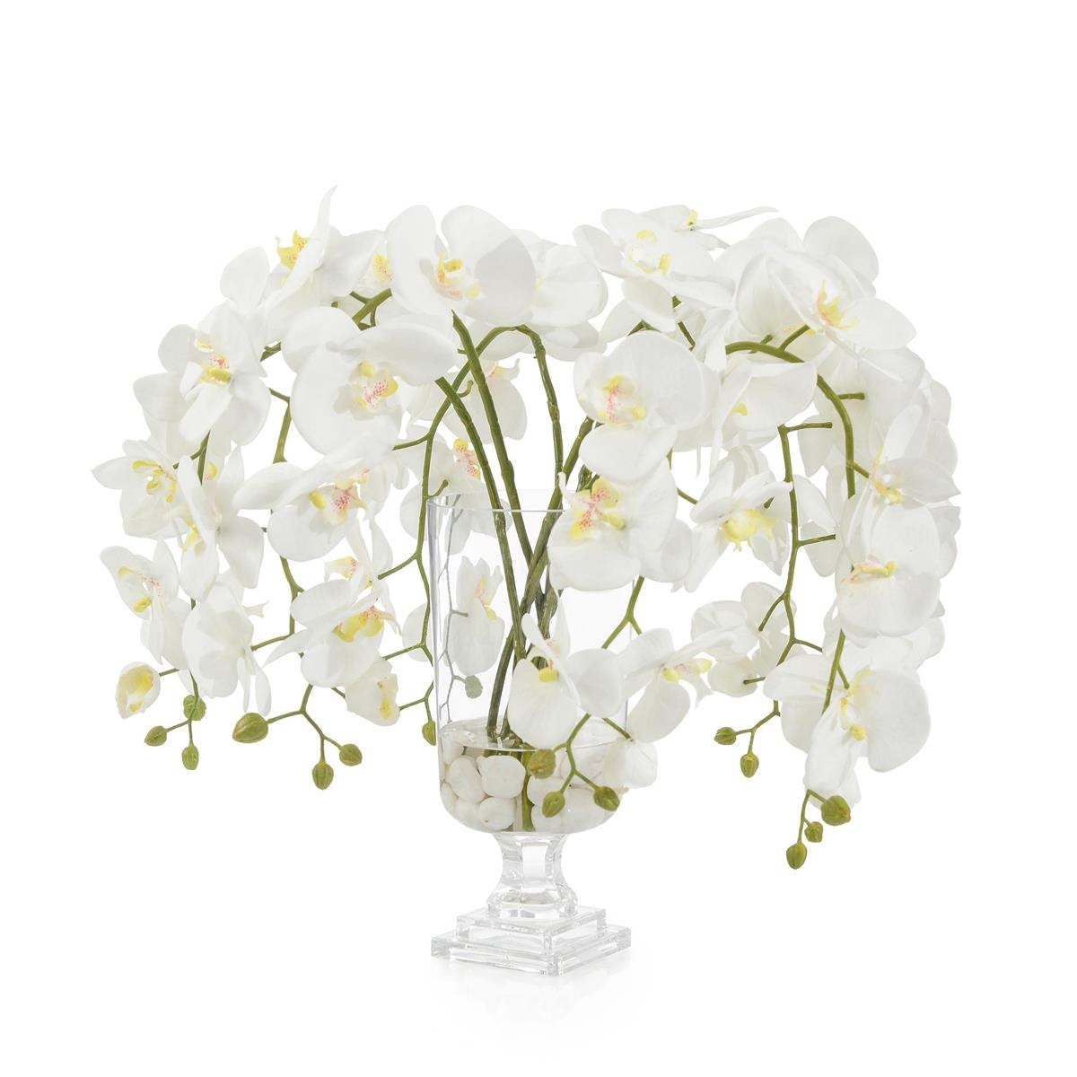 John Richard Glamorous Phals JRB-5112W