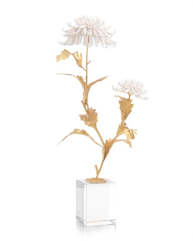 John Richard Avignon Chrysanthemums JRA-11423