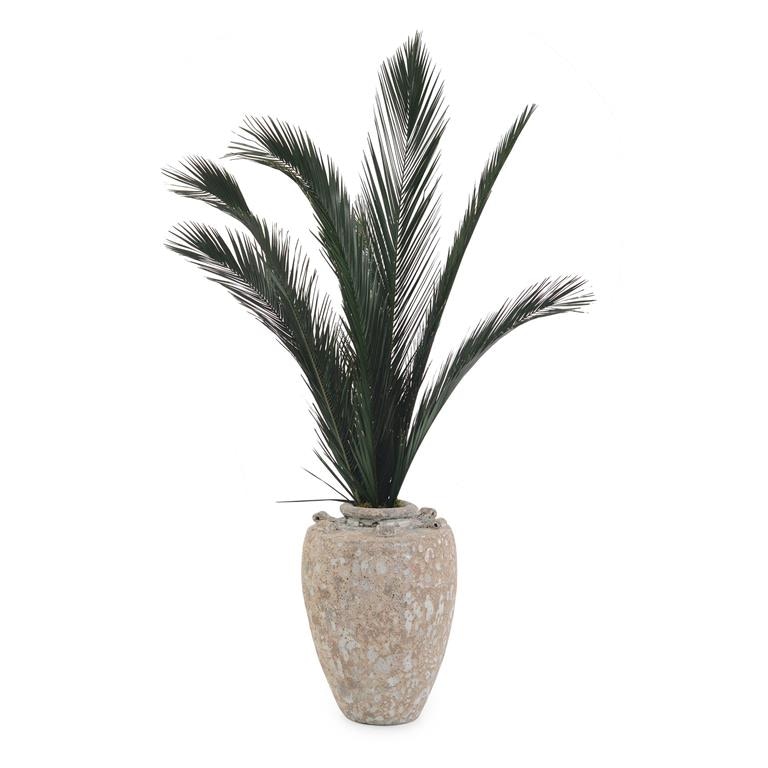 John Richard Crusty Palms JRB-5143