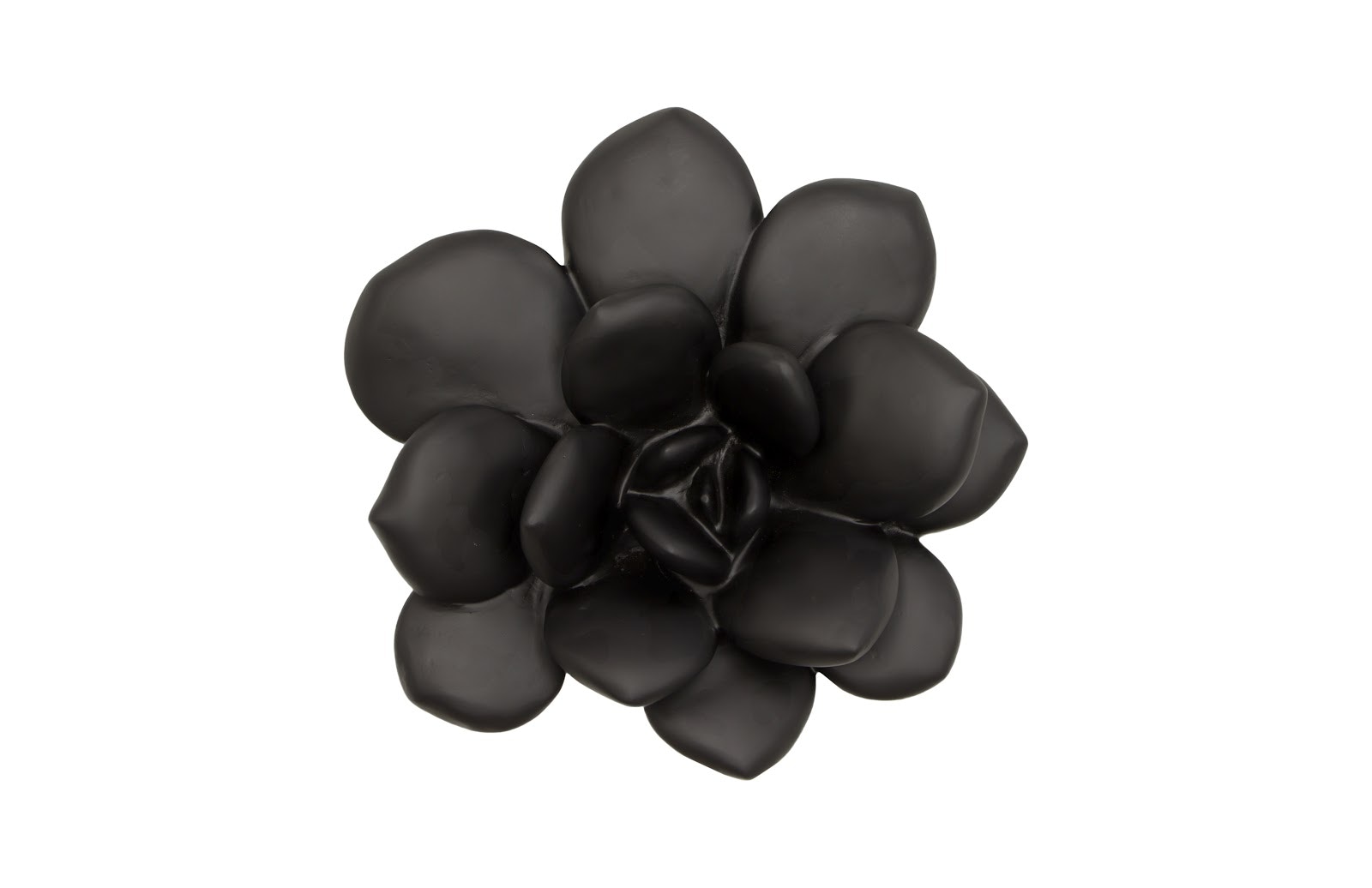 Phillips Collection Laui Succulent Wall Art, Smooth Matte Black PH111559