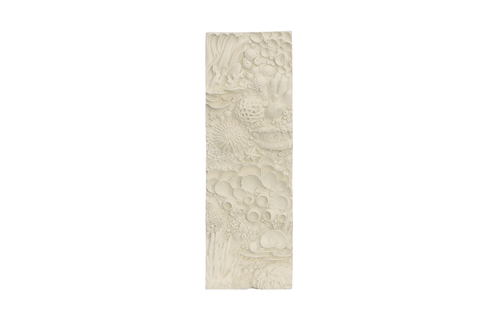 Phillips Collection Coral Reef Wall Art, Rectangle PH112036