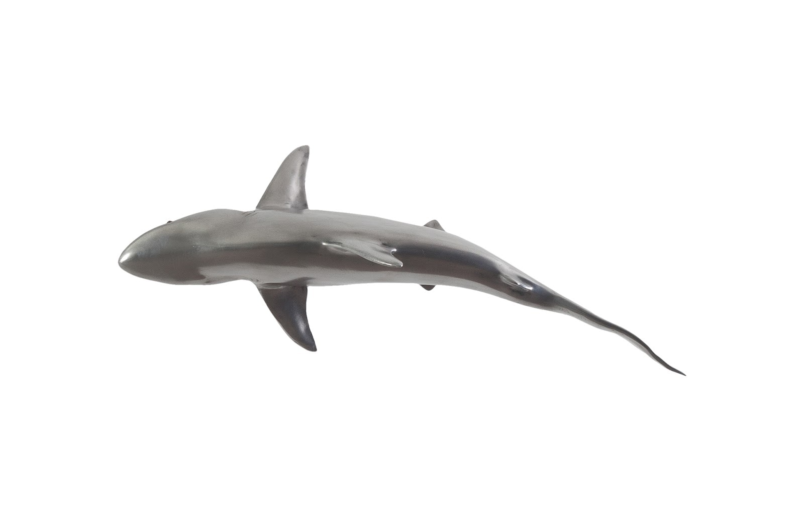 Phillips Collection Whaler Shark PH64545