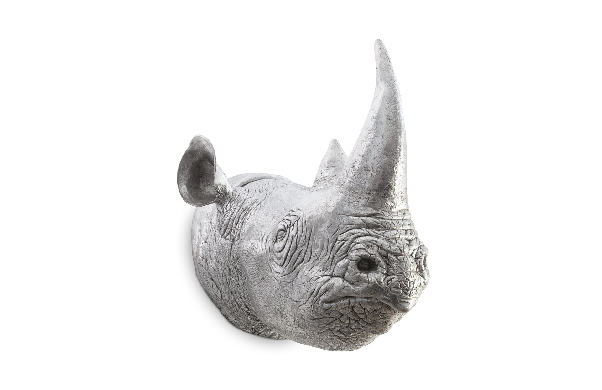 Phillips Collection Rhino Wall Art PH67513