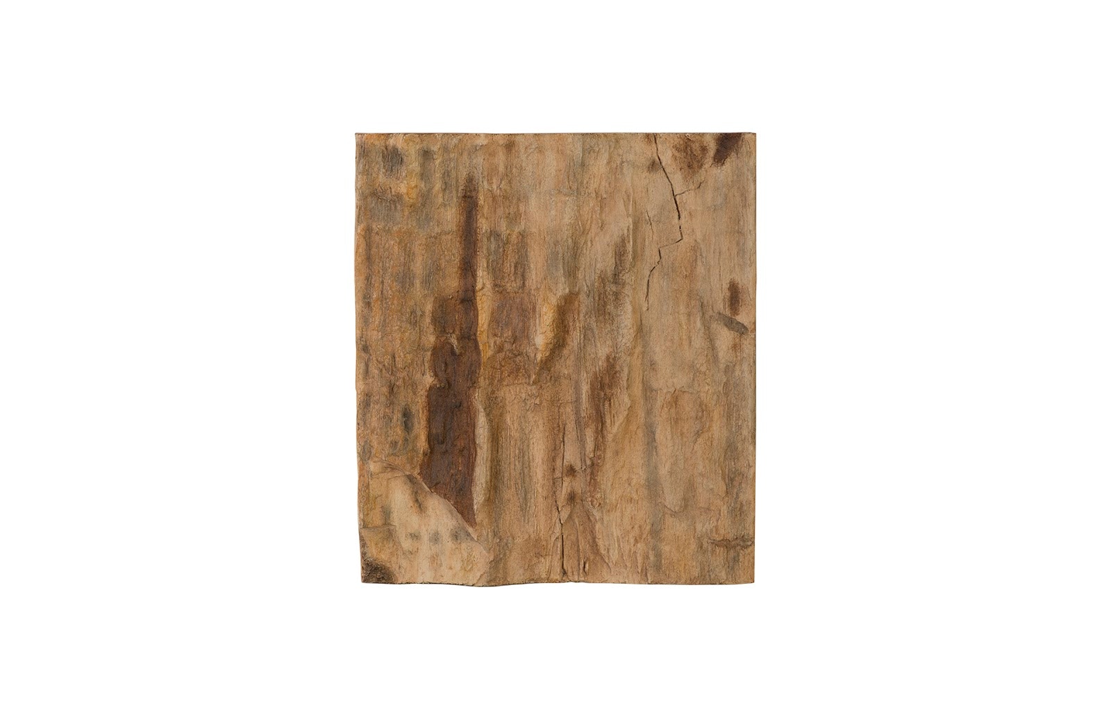 Phillips Collection Cast Petrified Wood Wall Tile PH89988
