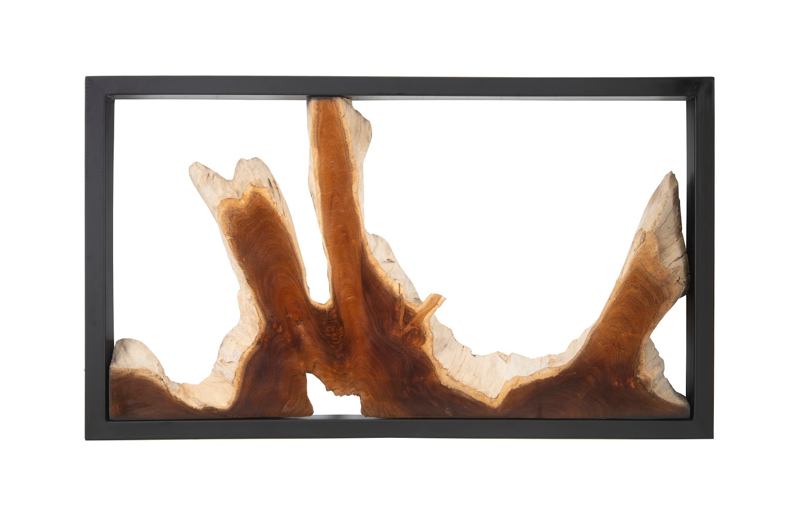 Phillips Collection Framed Root Wall Art ID102149