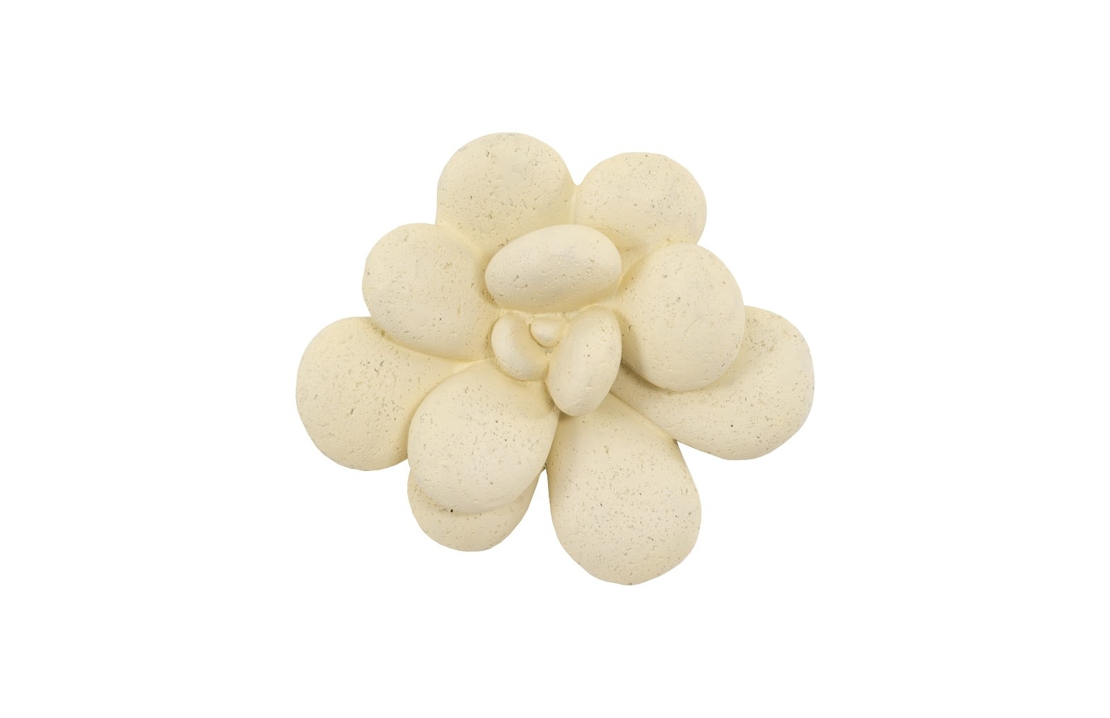Phillips Collection Oviferum Succulent Wall Art, Chartreuse PH104155