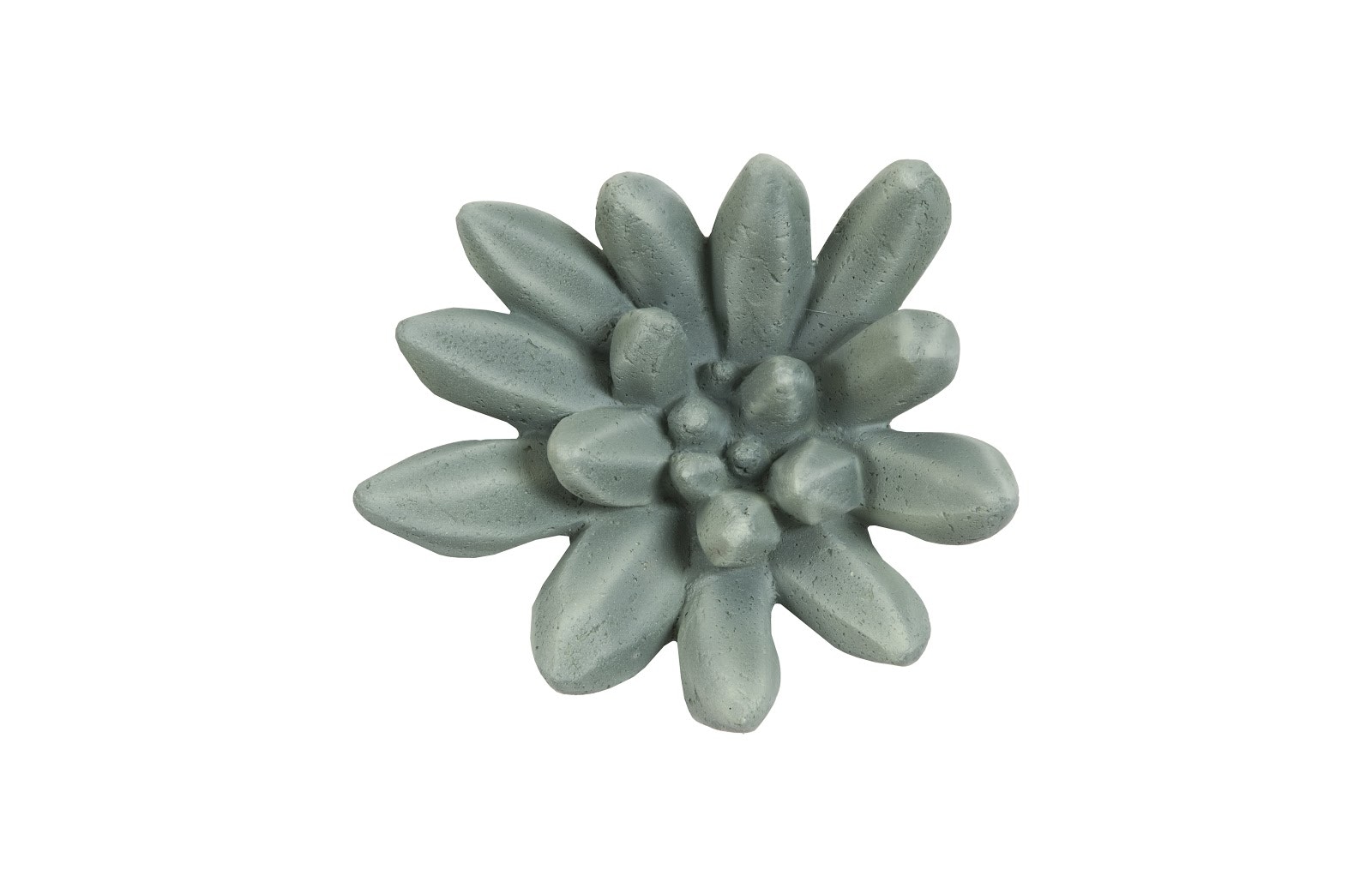 Phillips Collection Compactum Succulent Wall Art, Forest PH104157