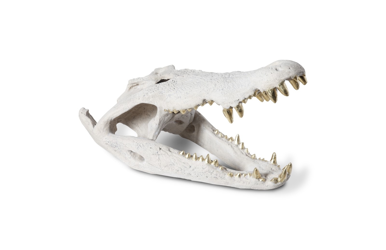 Phillips Collection Crocodile Skull, Roman Stone, Gold Leaf PH56708
