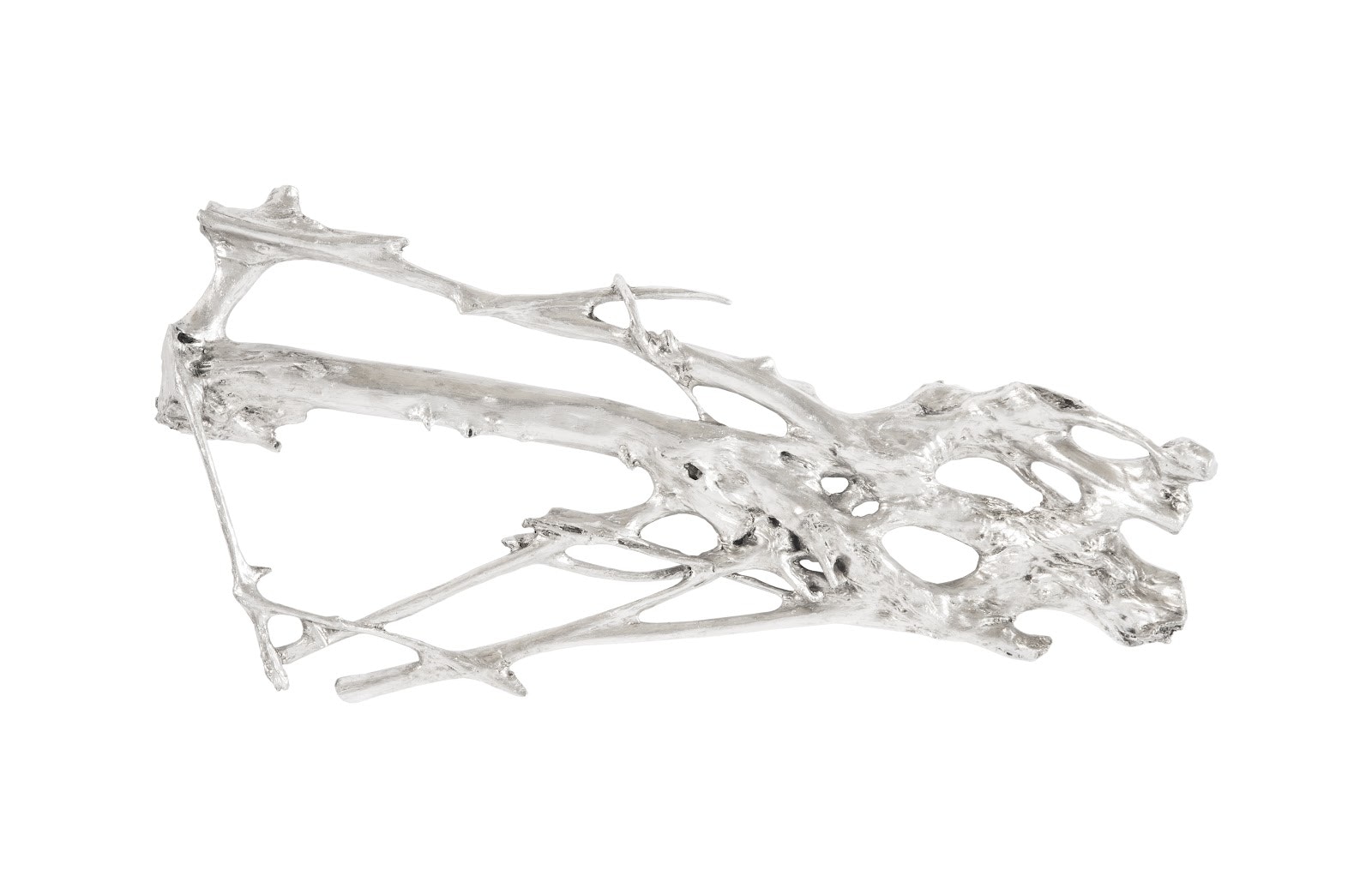 Phillips Collection Root Wall Art PH61030