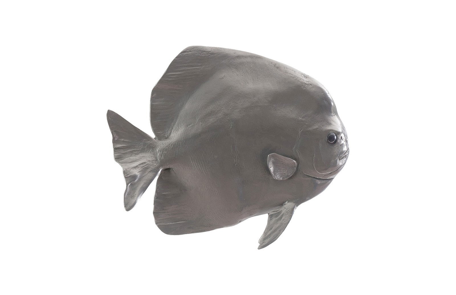 Phillips Collection Australian Batfish PH64558
