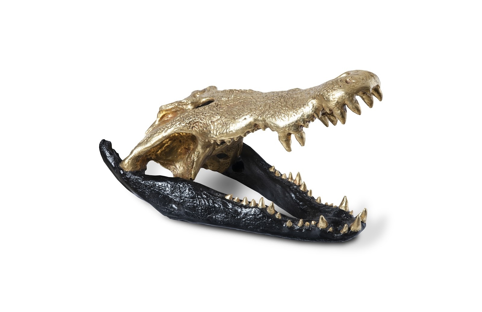 Phillips Collection Crocodile Skull, Black/Gold Leaf PH67576