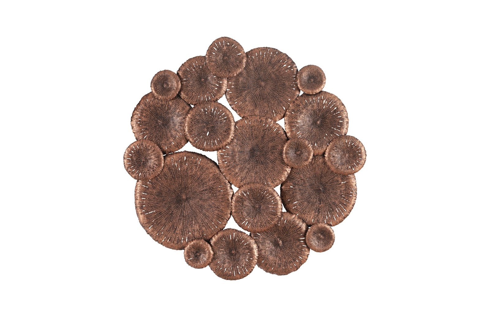 Phillips Collection Lotus Collage TH100853