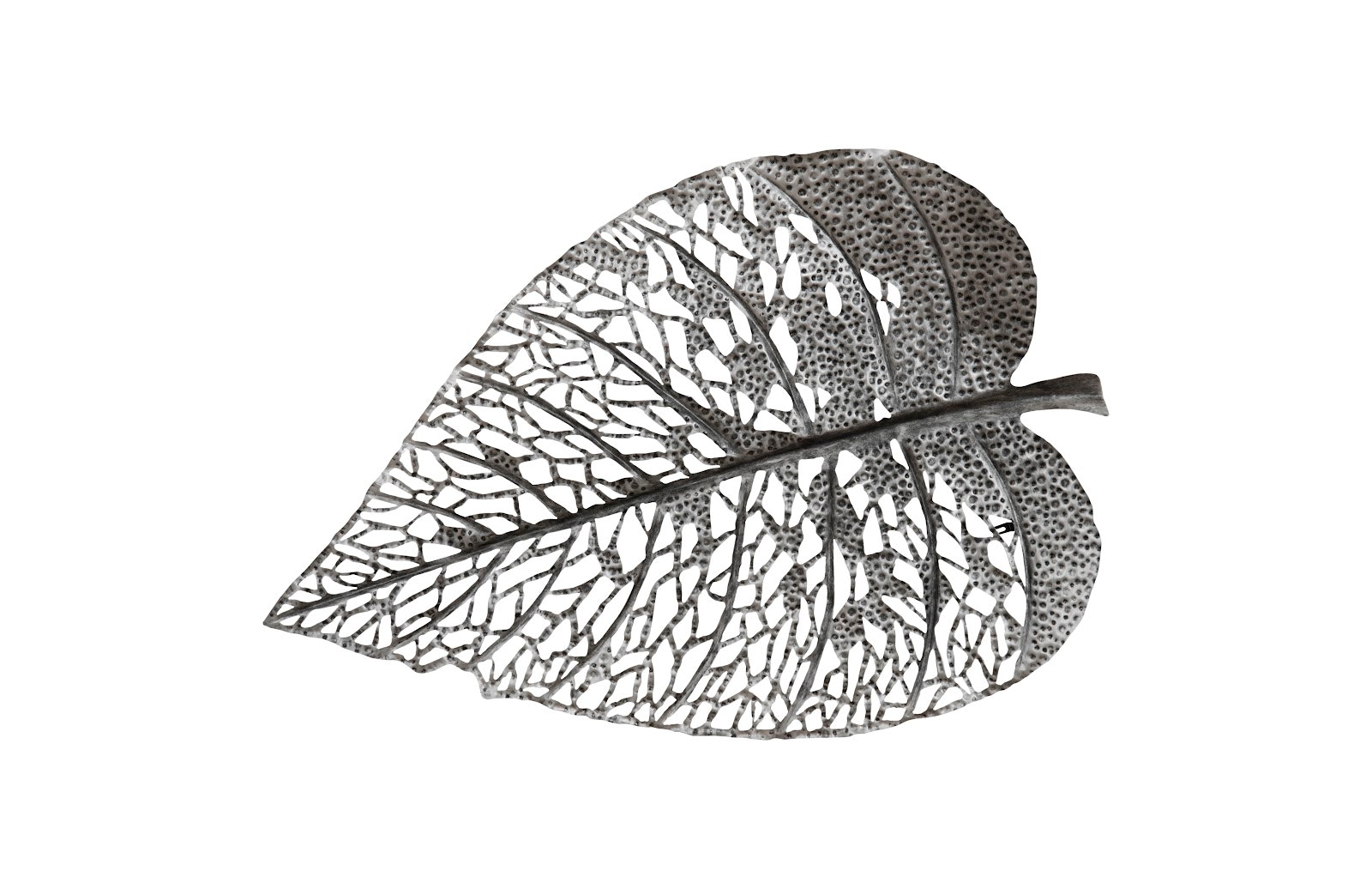 Phillips Collection Birch Leaf Wall Art, Silver, LG TH108526
