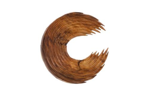 Phillips Collection Swoop Wall Art, Natural Wood TH120063