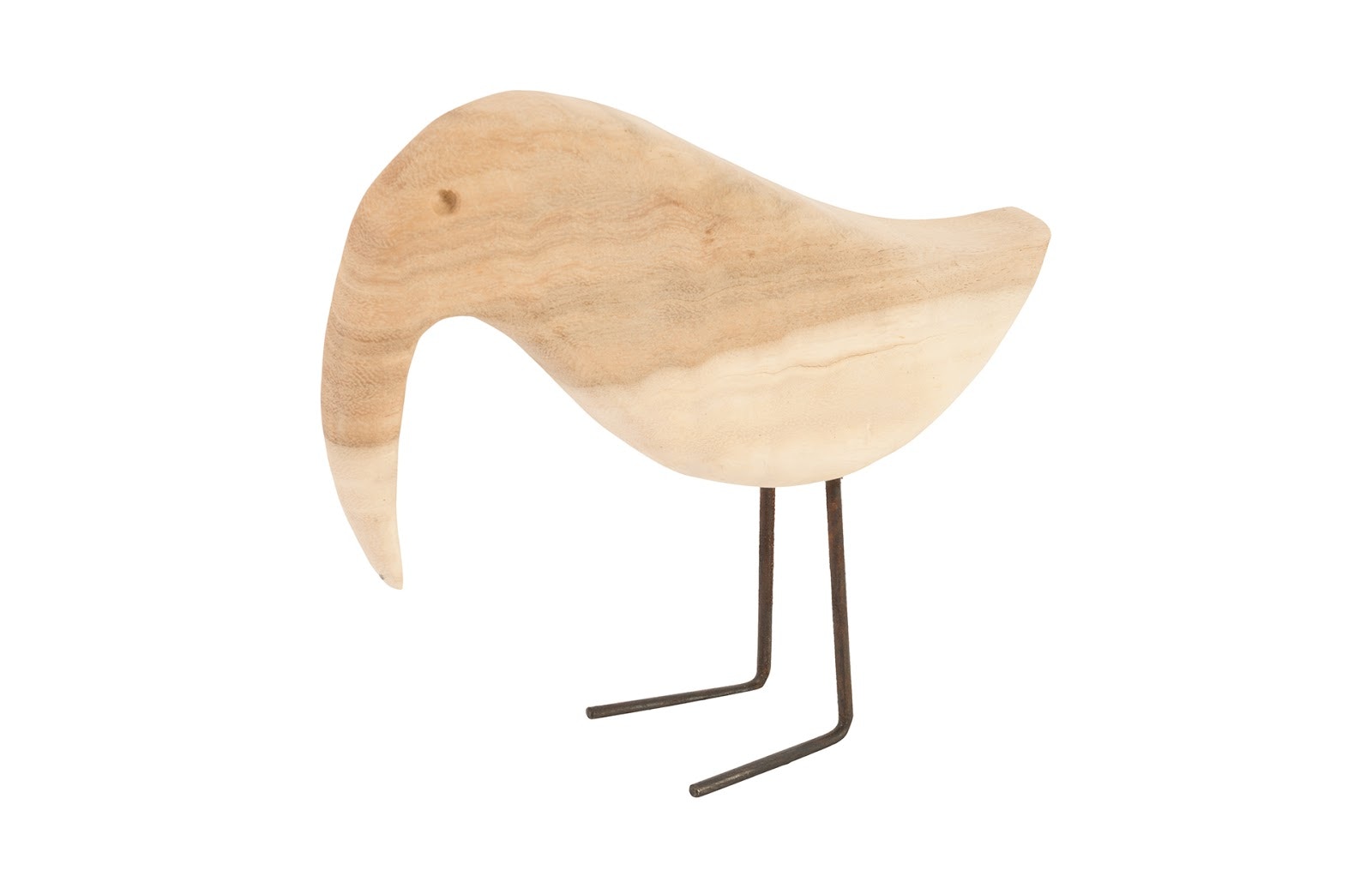 Phillips Collection Bleached Bird TH77252