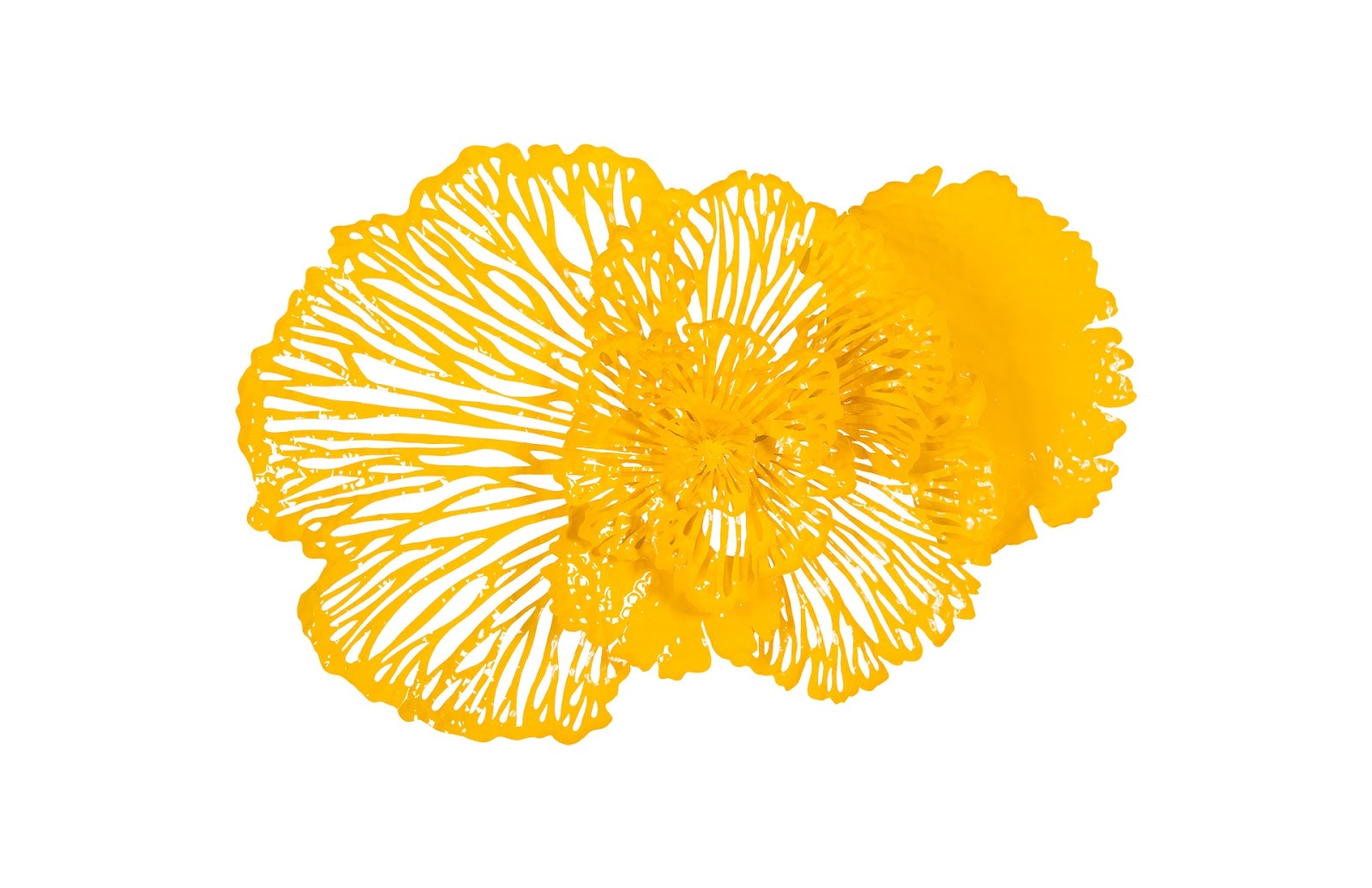 Phillips Collection Flower Wall Art TH83078