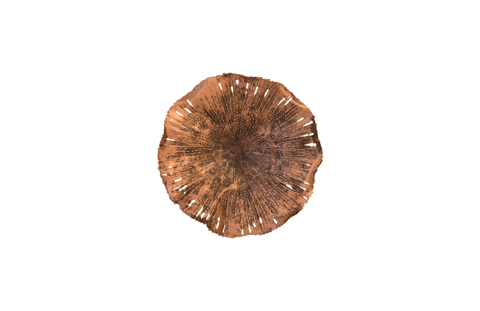 Phillips Collection Lotus Wall Art TH96156