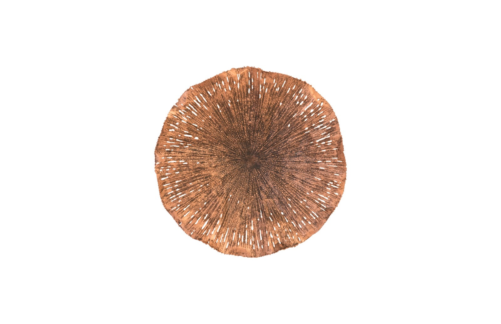 Phillips Collection Lotus Wall Art TH96157