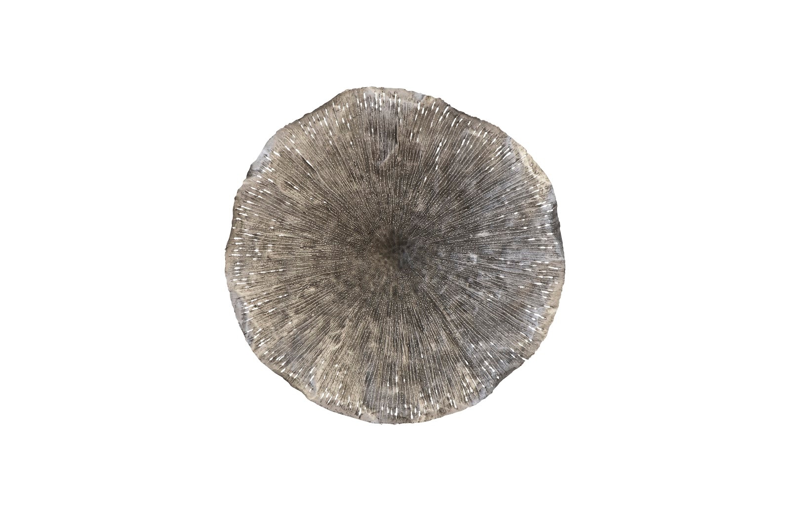 Phillips Collection Lotus Wall Art TH96161