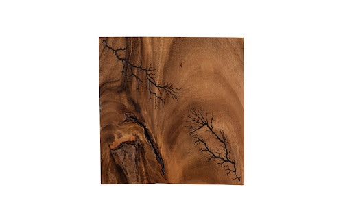 Phillips Collection Lightning Wall Tile, Chamcha Wood TH97693