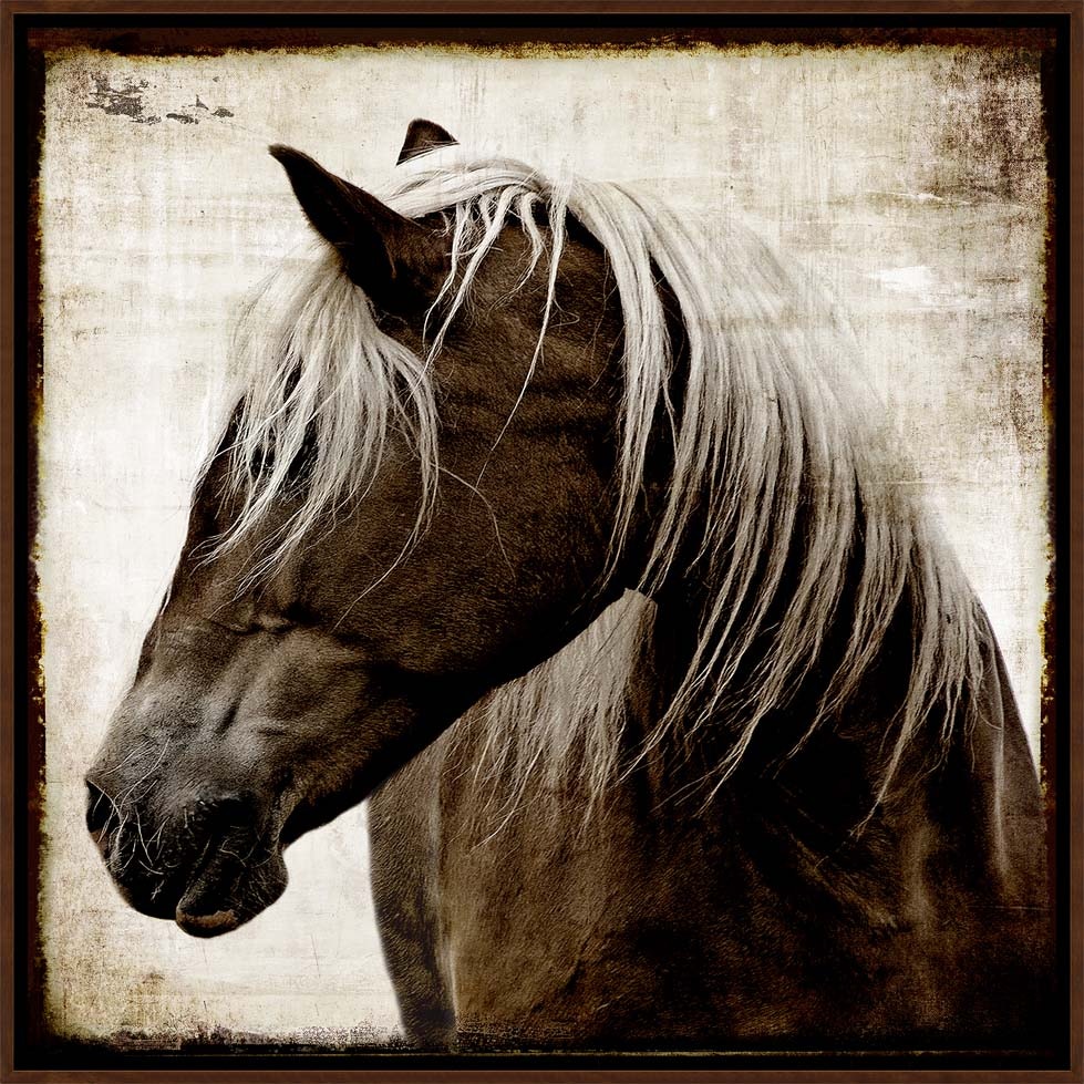  Colorado Style Artwork Admiration