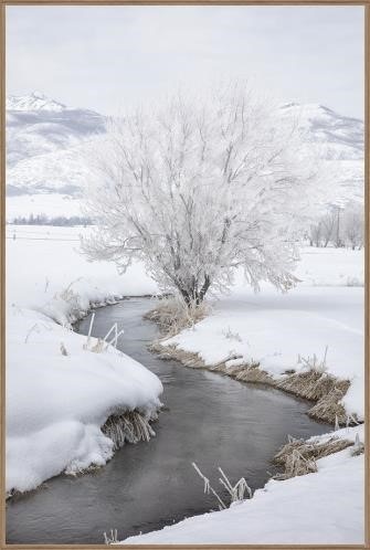  Colorado Style Artwork Colorado Creek