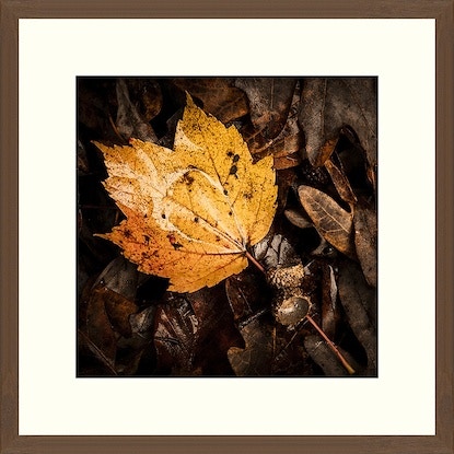  Colorado Style Artwork Fall Leaves II