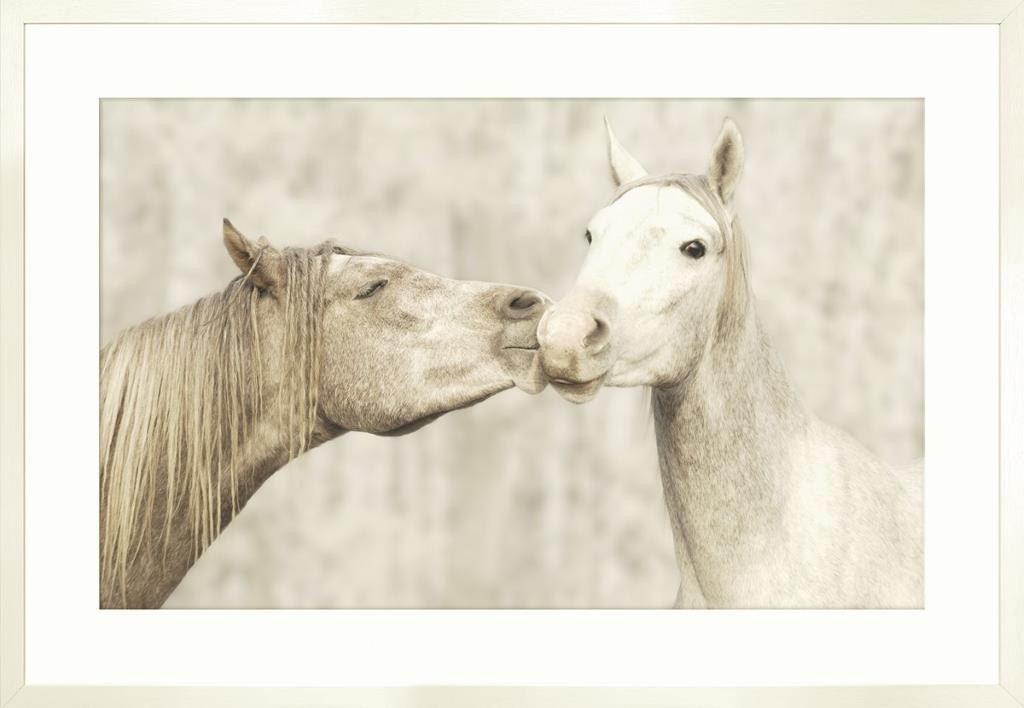  Colorado Style Artwork Kisses