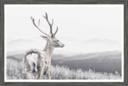  Colorado Style Artwork On The Range
