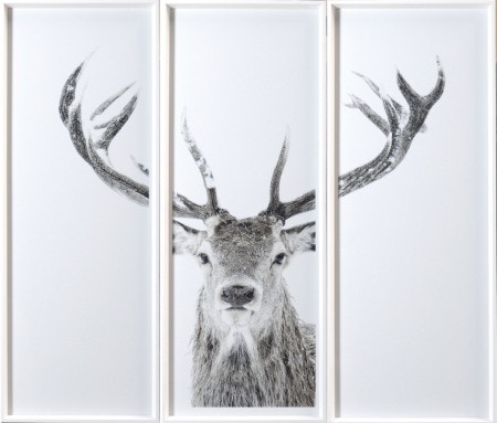  Colorado Style Artwork Red Deer
