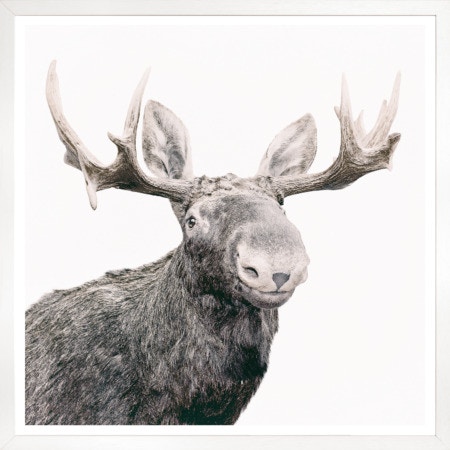  Colorado Style Artwork Smiling Moose