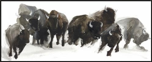  Colorado Style Artwork Stampede
